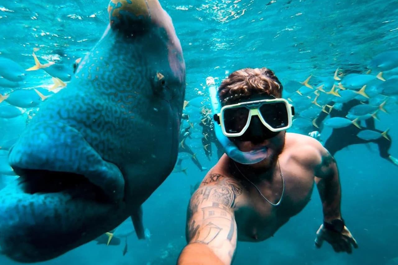 Tongarra Day Sailing Tour - image 2